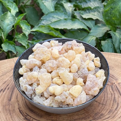 Günlük Sakız (Akgünlük)